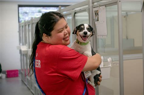 Seattle humane society dogs - Phone Hours: Wednesday-Sunday 1-6 p.m. You may also renew, purchase or check the status of your dog or cat license online. Animal Control. 7 days a week, 9 a.m.-6 p.m. Email: seattleanimalshelter@seattle.gov. Customer service call center: (206) 386-7387. Submit a non-emergency complaint online. Spay and Neuter Clinic. 
